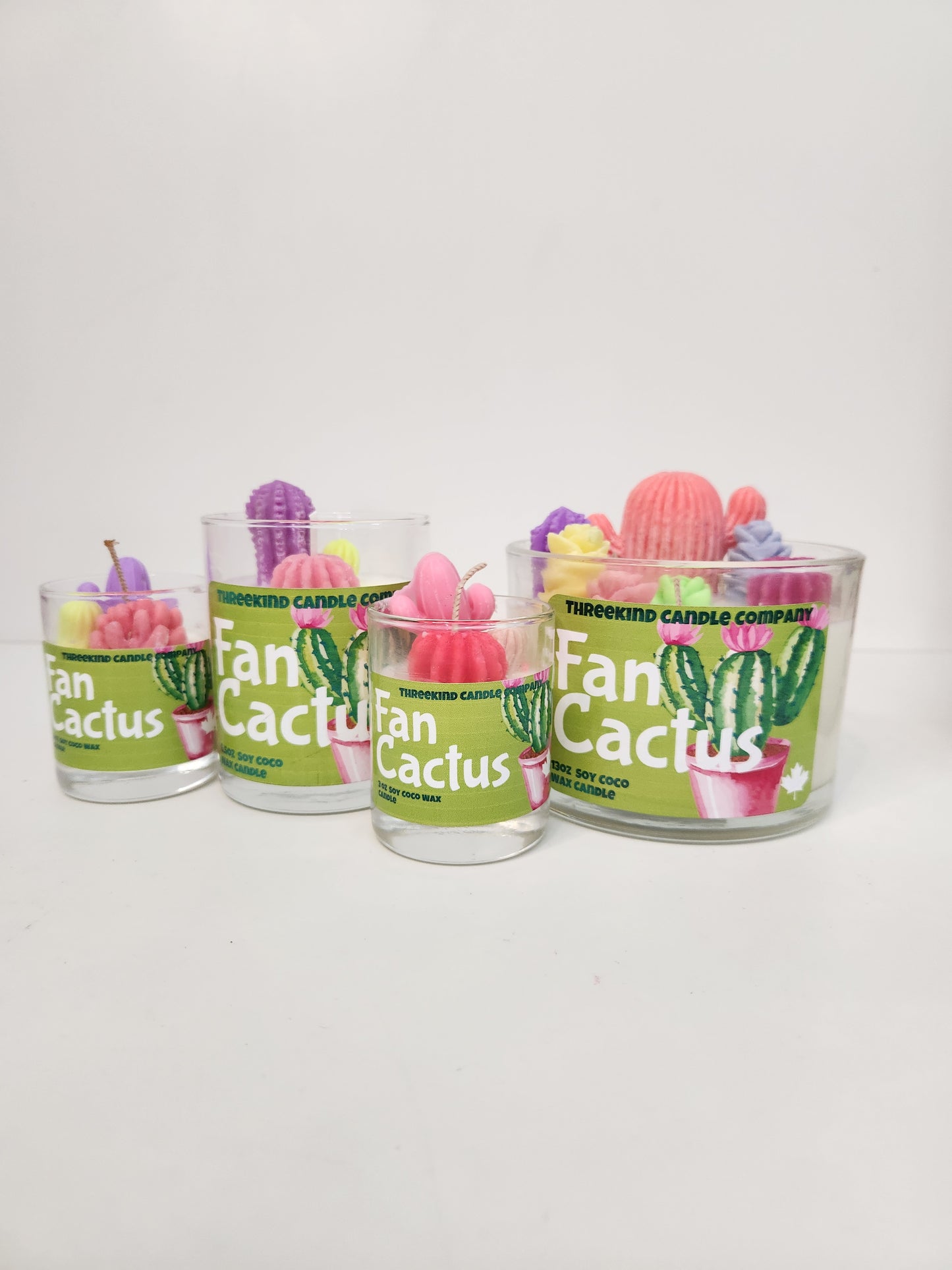 Fan-Cactus