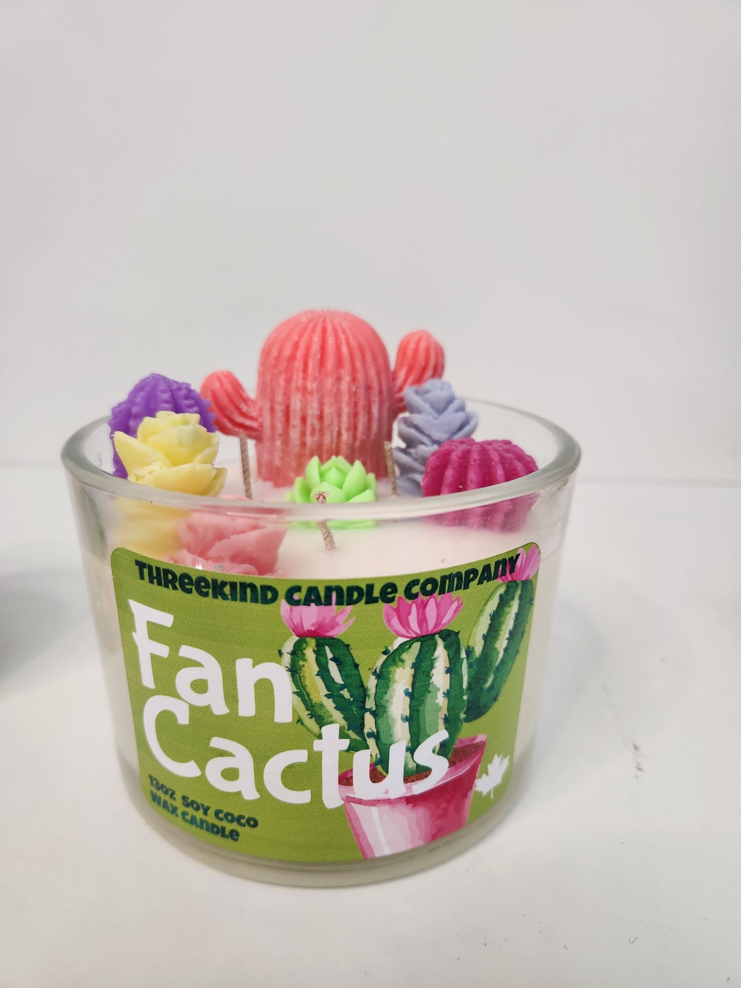 Fan-Cactus