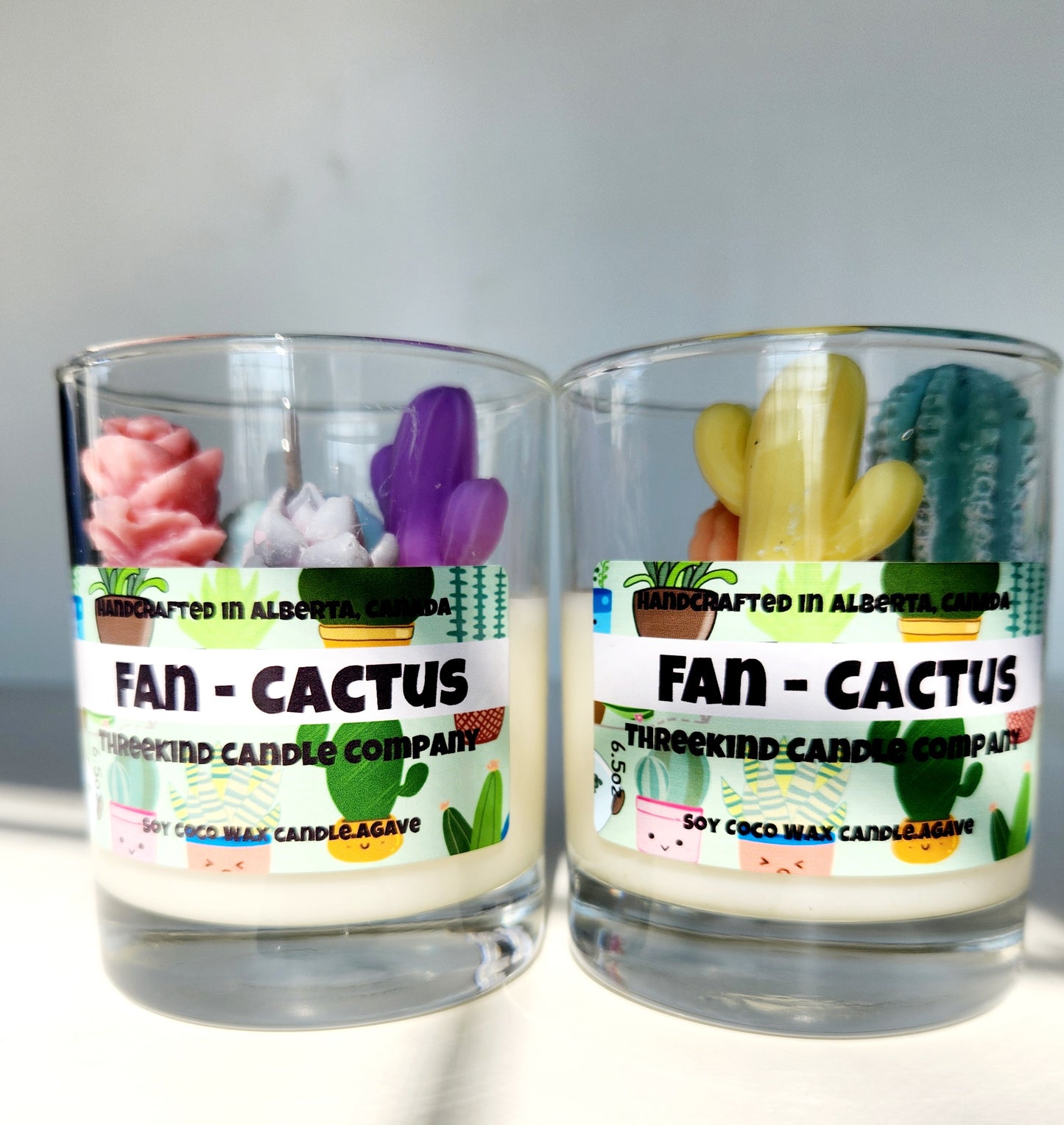 Fan-Cactus
