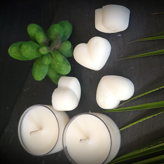 It's Fan-Cactus Wax Melts